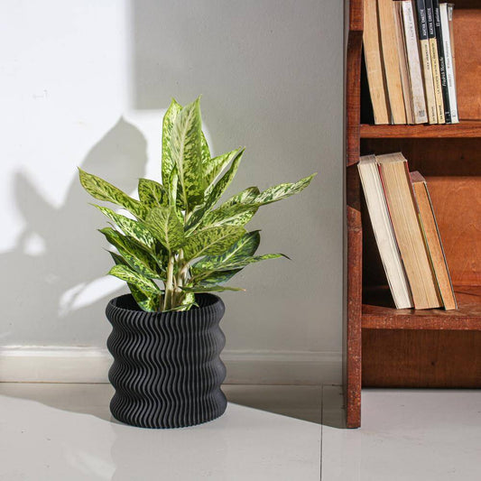 modern wavy planter displaying a green plant, showcasing its unique wavy texture in a stylish home decor setting.